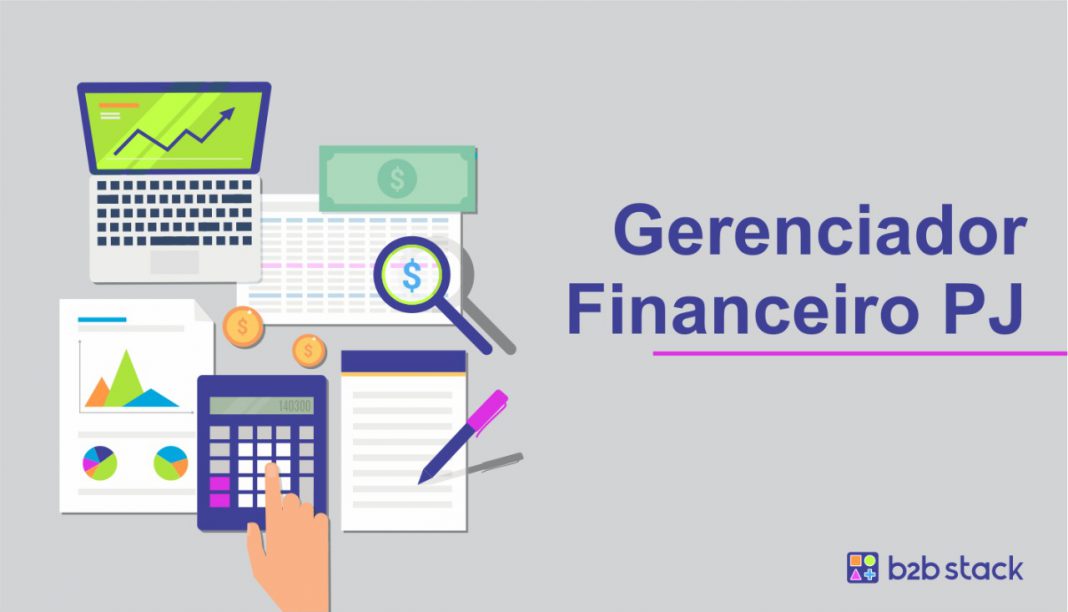gerenciador financeiro pj