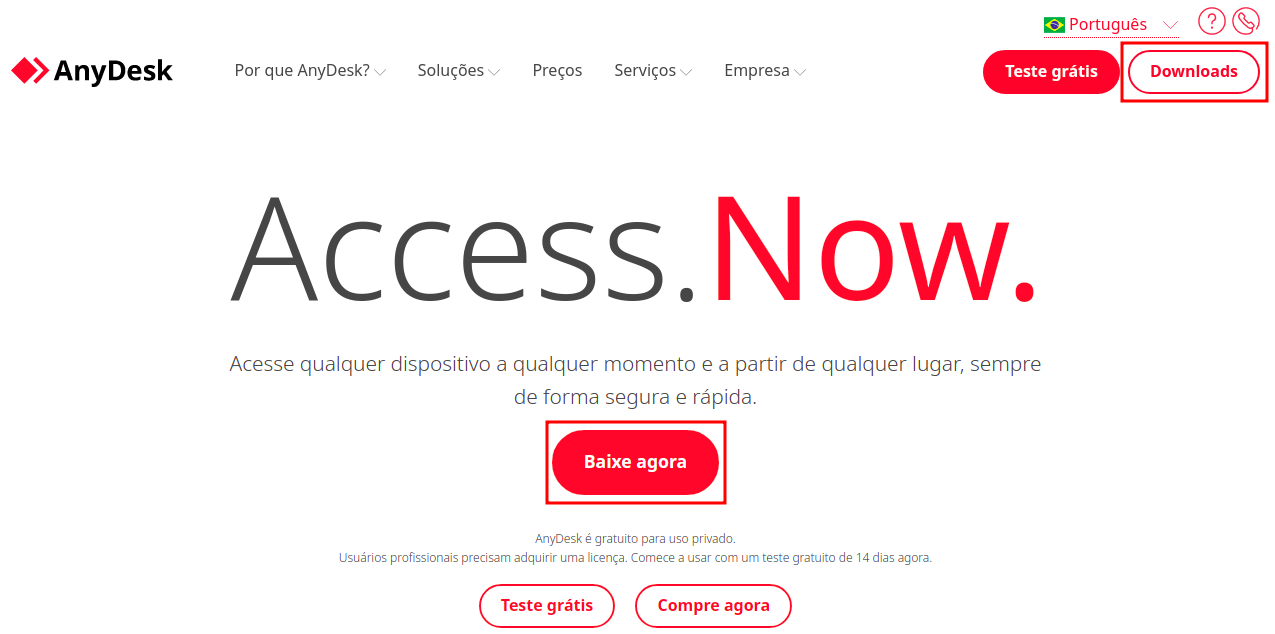 Imagem da página inicial do site Anydesk. Existe um menu acima com botões e o logo da empresa e ao centro da imagem existe uma frase em inglês 'Access.Now'