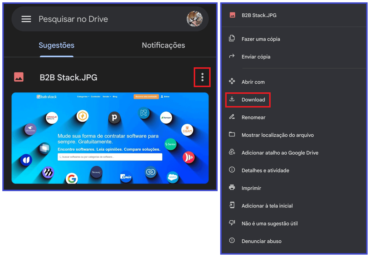 Imagem mostrando como são mostradas as imagens no Drive e um menu aberto com a opção de download selecionada após o usuário clicar no ícone de três pontos na vertical localizado acima da imagem