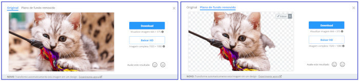 Imagem de uma animal felino conhecido como gato. A imagem tem duas versões. A da esquerda é pura ou seja sem modificações e a da direita com o fundo removido no remove.bg