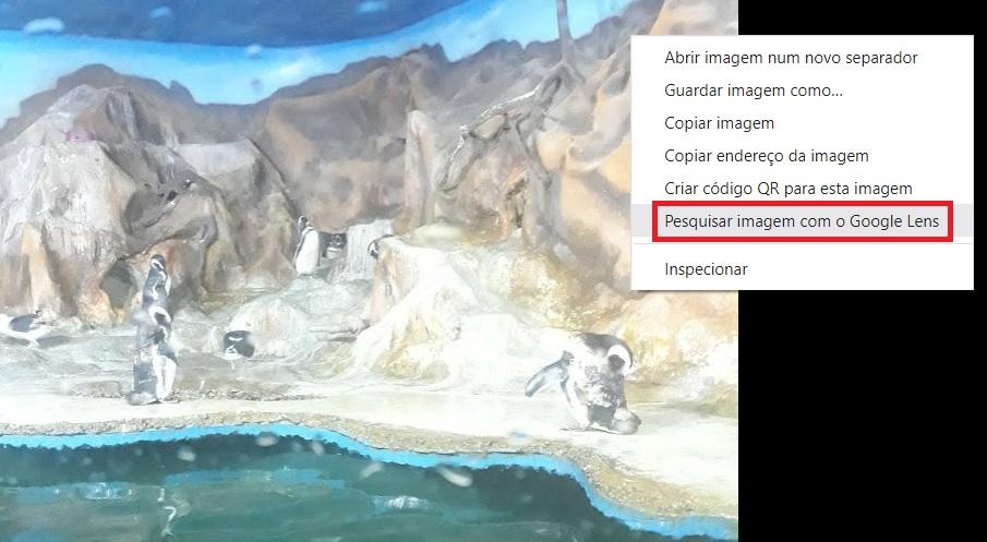 Imagem mostrando como utilizar o Google Lens no navegador chrome. A imagem trás um menu no lado direito de uma imagem com a opção de pesquisa de pelo Lens selecionada