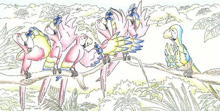 Imagem de um comercial da Redbull que mostra seis pássaros conversando