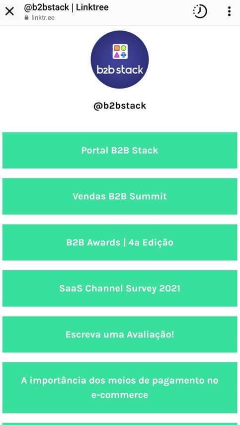 Imagem de uma página da B2B stack dentro do Linktree, ferramenta de link na bio