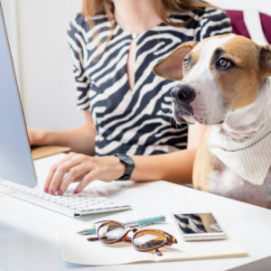 Imagem representativa de mulher com cachorro acompanhando a inovação no mercado pet